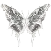 🦋