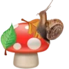 🍄