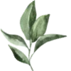 🌿