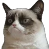 🐈‍⬛