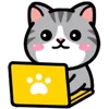 👨‍💻