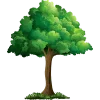 🌳