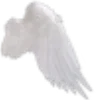 🕊