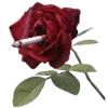 🚬