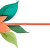 🌺