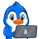 💻