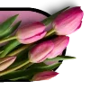 🌷