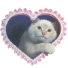 🐱