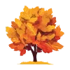 🍁