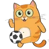 ⚽️