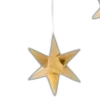 🌟