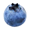 🫐