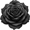🌹