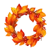 🍁