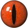 👁️‍🗨️