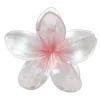 🌺