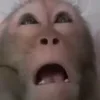 🤨