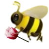 🐝