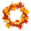 🍁