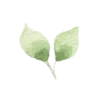 🌱