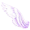 🤩