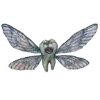 🦷