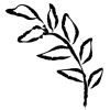 🌱