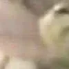 😀