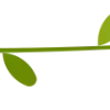 🌿