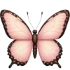 🦋