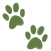 🐾