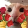 🥹