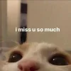 🤩
