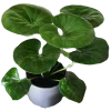 🌿