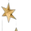 🌟