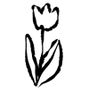 🌱