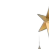 🌟