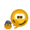 🪨