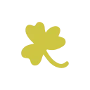 🌼