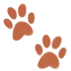 🐾