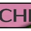 🌷