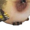 🌟