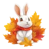 🐰