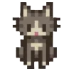 🐱