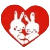 🐰