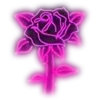 🌹