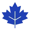 🍁