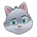 🐱
