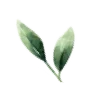 🌱