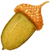 🥜